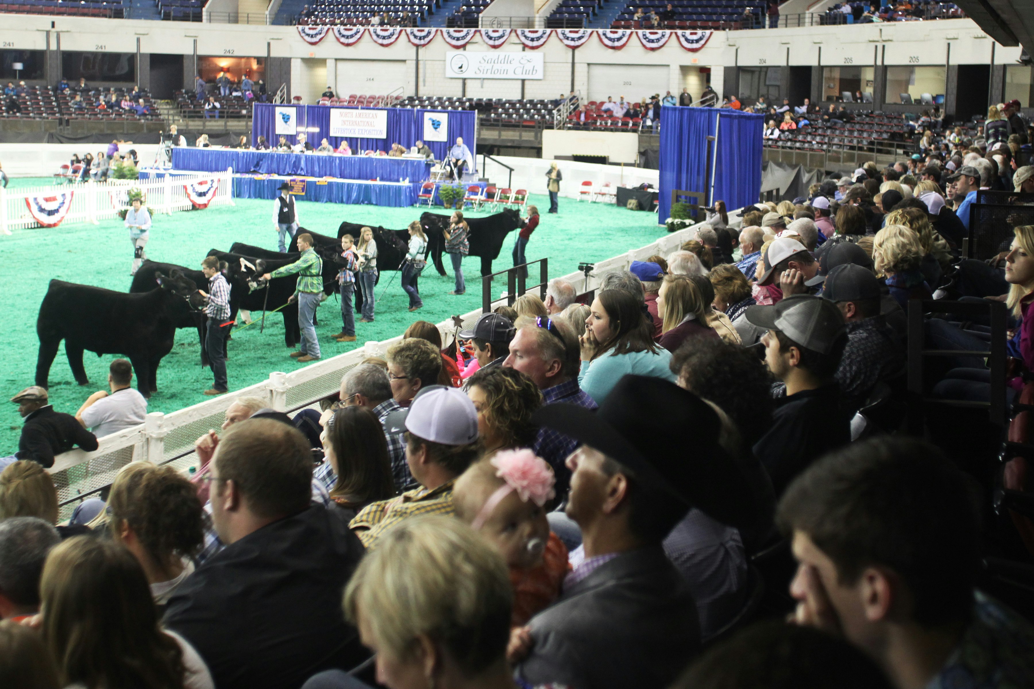 Louisville Expo Center Rodeo